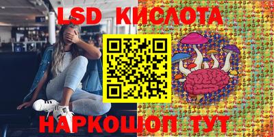 ПСИЛОЦИБИНОВЫЕ ГРИБЫ Пушкино