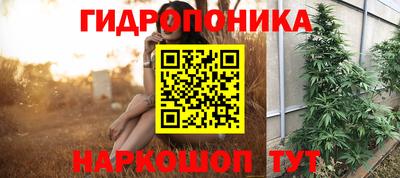 ПСИЛОЦИБИНОВЫЕ ГРИБЫ Пушкино