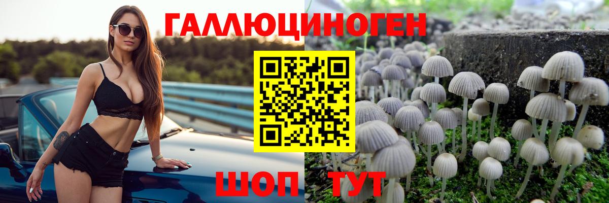 наркошоп  Псилоцибиновые грибы прущие грибы  Вход с VPN  Саянск 